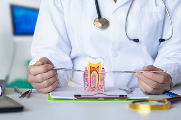 Best Mobile Emergency Dentist in Albertson, NY